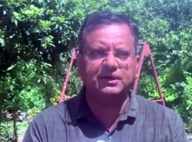 जमीन से अचानक निकलने लगे पीले मेढक, क्या होते हैं शुभ ?