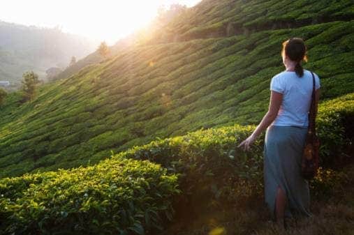 इस सेक्टर को मिल सकती है मदद, कोरोना की वजह से सबसे ज्यादा तबाह