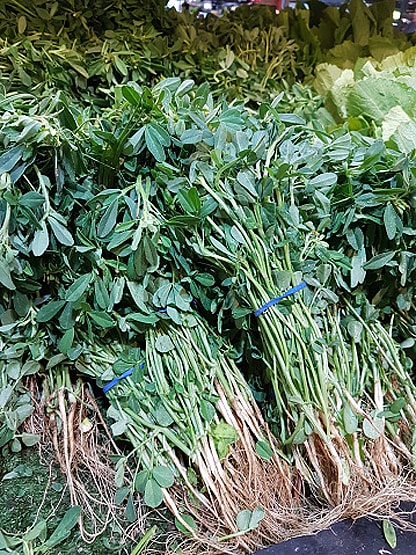 मेथी की सब्जी बताकर खिलाया गांजा, एक परिवार के 6 लोग बीमार