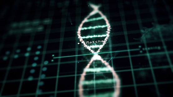 दावाः वैज्ञानिकों ने बनाया ऐसा बैल जिसकी अगली पीढ़ी नर ही पैदा होगी