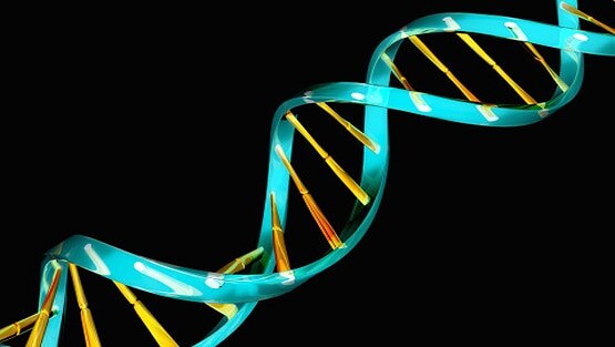 पहली बार स्वस्थ इंसान में मिला ये DNA, क्या बदल गई शरीर की बुनियाद!