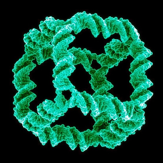 पहली बार स्वस्थ इंसान में मिला ये DNA, क्या बदल गई शरीर की बुनियाद!