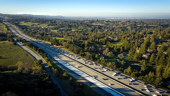 स्टडी में दावा: पौधे लगाकर पर्यावरण को नुकसान पहुंचा रहे हम!