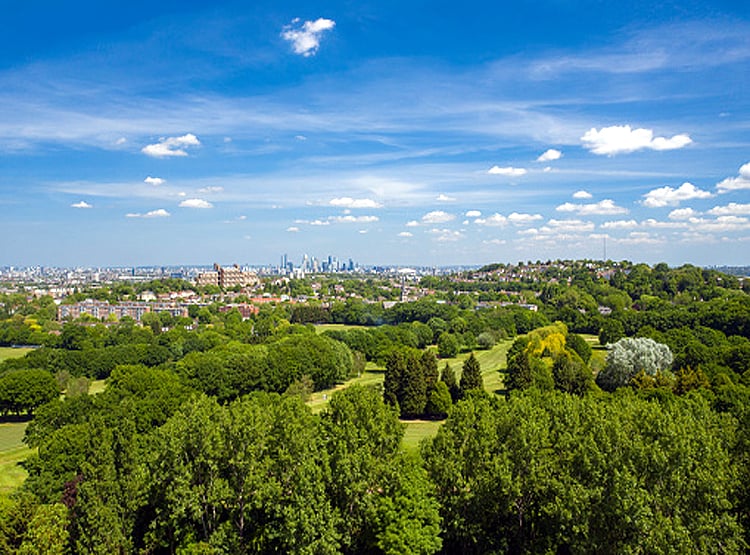 स्टडी में दावा: पौधे लगाकर पर्यावरण को नुकसान पहुंचा रहे हम!