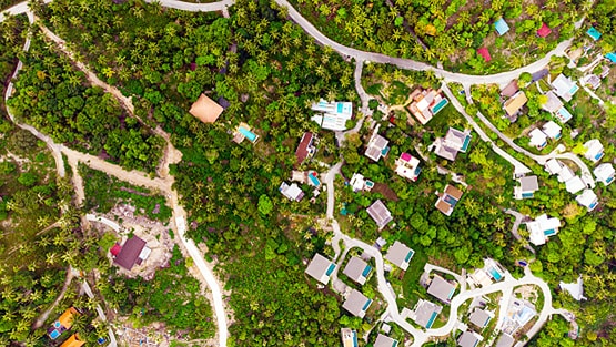 स्टडी में दावा: पौधे लगाकर पर्यावरण को नुकसान पहुंचा रहे हम!