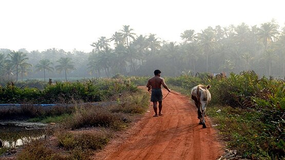 बच्चों की ऑनलाइन पढ़ाई चलती रहे इसलिए गाय बेचकर खरीदा स्मार्टफोन