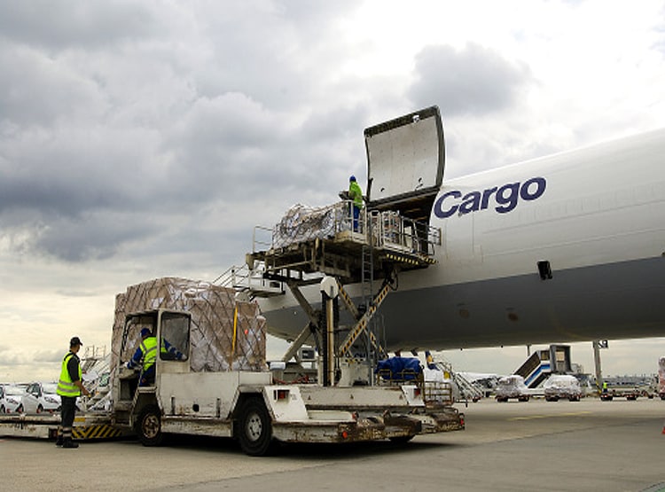 12वीं फेल महिला ने खेला 30 किलो सोने का ऐसा खेल, उड़ गई 2 सरकारों की नींद