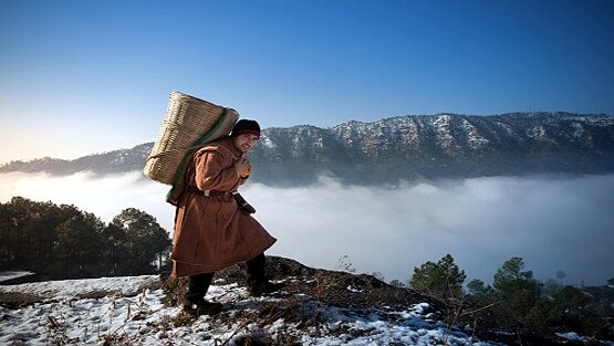 हिमाचल के पहाड़ों से इन राज्यों पर बड़ा संकट, वैज्ञानिकों की चेतावनी