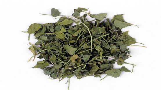 मेथी की सब्जी बताकर खिलाया गांजा, एक परिवार के 6 लोग बीमार