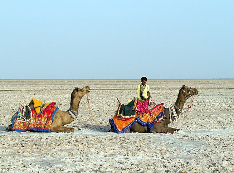 गलवान में पीछे हटा चीन तो पश्चिमी सीमा पर PAK के साथ चल रहा नई चाल