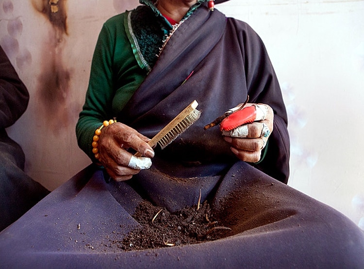 20 लाख रु. KG बिकता है ये कीड़ा, चीन की वजह से चौपट हुआ कारोबार