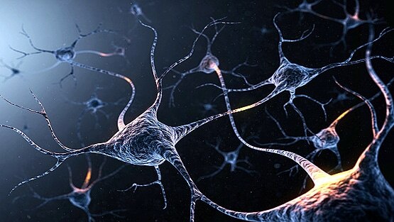 UNICEF: हर तीन में से एक बच्चे के खून में ये खतरनाक तत्व ज्यादा