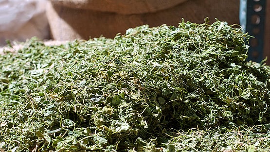 मेथी की सब्जी बताकर खिलाया गांजा, एक परिवार के 6 लोग बीमार