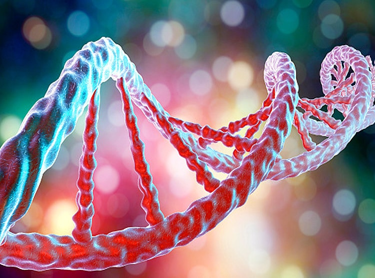 पहली बार स्वस्थ इंसान में मिला ये DNA, क्या बदल गई शरीर की बुनियाद!