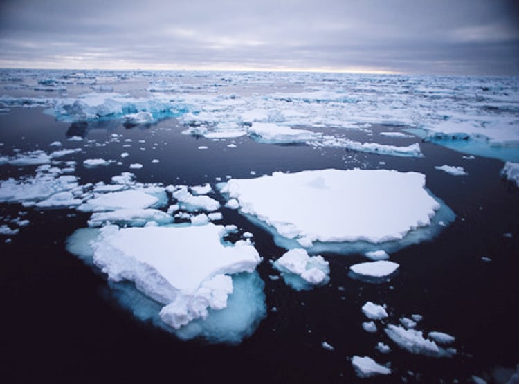 बाकी दुनिया से 3 गुना ज्यादा गर्म हुआ दक्षिणी ध्रुव, तेजी से पिघल रही बर्फ