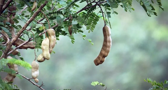 घर में कभी नहीं रखनी चाहिए ये 11 चीजें, बढ़ाती हैं नकारात्मक ऊर्जा