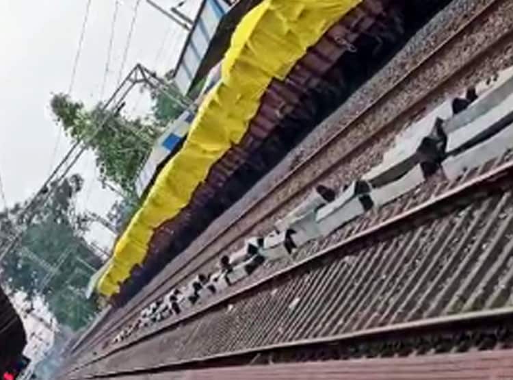 सुपर एनाकोंडा की तरह नजर आई 2 किमी लंबी मालगाड़ी, लगे थे 174 वैगन