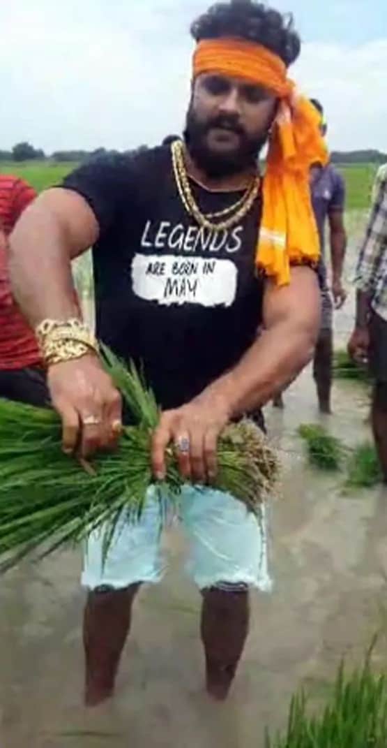 खेतों में किसानी कर रहे स्टार्स, किसी ने बोया धान, किसी ने उगाई मूली