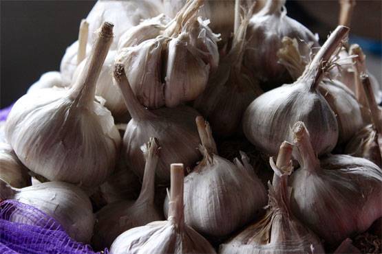 कमजोर इम्यूनिटी का संकेत हैं ये 6 लक्षण, कोरोना से बचने को दें ध्यान