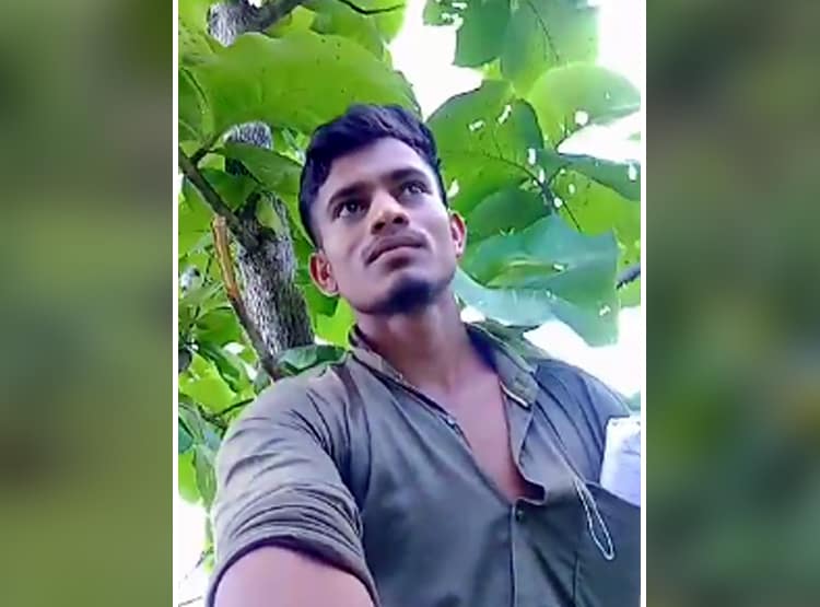 तेंदुए के खौफ से 2 घंटे पेड़ पर बैठा रहा युवक, पालतू कुत्ता बन गया शिकार