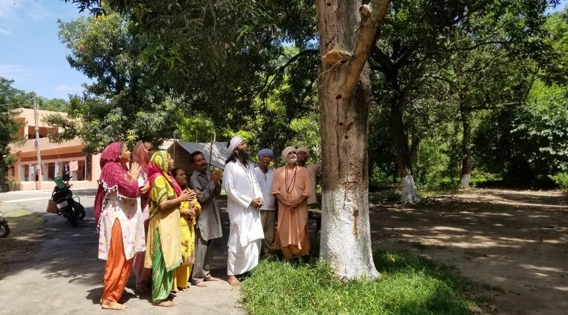 आम के पेड़ की डालियों से धुआं निकलने का दावा, 'चमत्कार' देखने उमड़े लोग