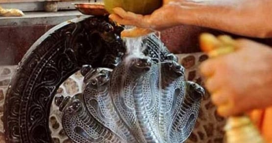 नाग पंचमी पर बन रहा दुर्लभ योग, मिलेगी कालसर्प दोष से मुक्ति