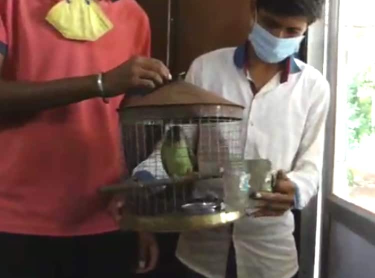 थाने पहुंची तोते पर तू-तू, मैं-मैं, मिट्ठू ने खुद बताया-असली मालिक कौन?