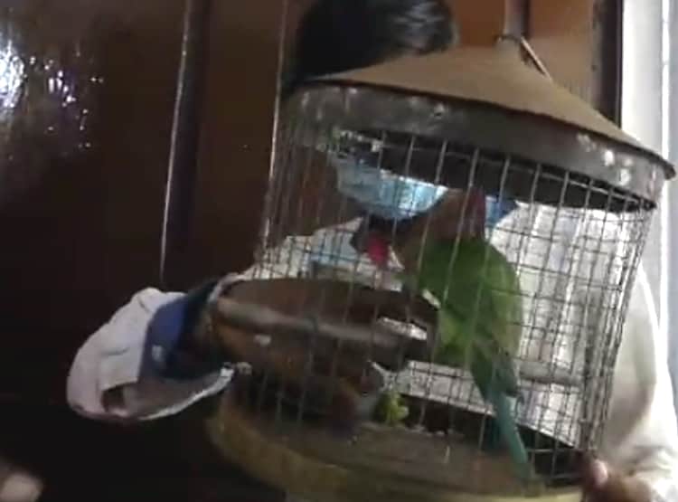 थाने पहुंची तोते पर तू-तू, मैं-मैं, मिट्ठू ने खुद बताया-असली मालिक कौन?