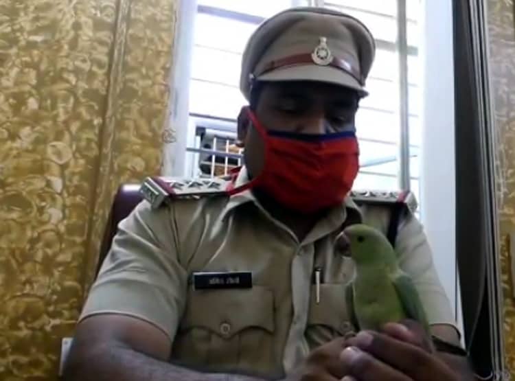 थाने पहुंची तोते पर तू-तू, मैं-मैं, मिट्ठू ने खुद बताया-असली मालिक कौन?