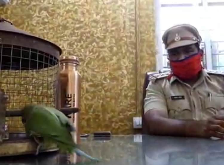 थाने पहुंची तोते पर तू-तू, मैं-मैं, मिट्ठू ने खुद बताया-असली मालिक कौन?