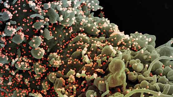 जल्दी वैक्सीन बनाने की चीन की जिद, शीर्ष अधिकारी को लगाया इंजेक्शन