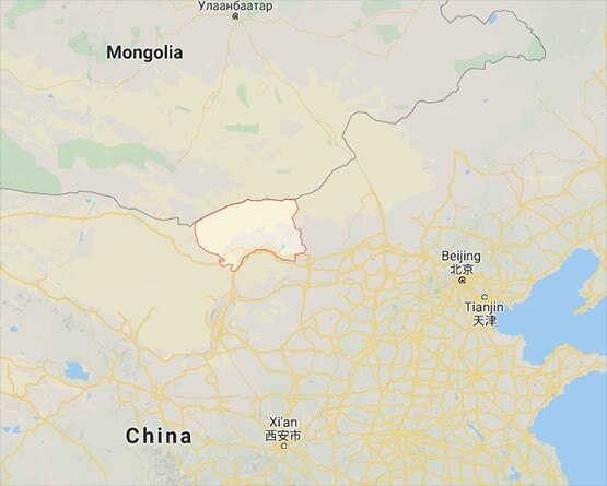 ब्यूबॉनिक प्लेग: 24 घंटे में ले सकती है जान, चीन में नई महामारी की चेतावनी जारी