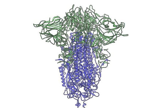 तस्वीर में दिखा- शरीर पर कितने भयावह तरीके से हमला करता है कोरोना