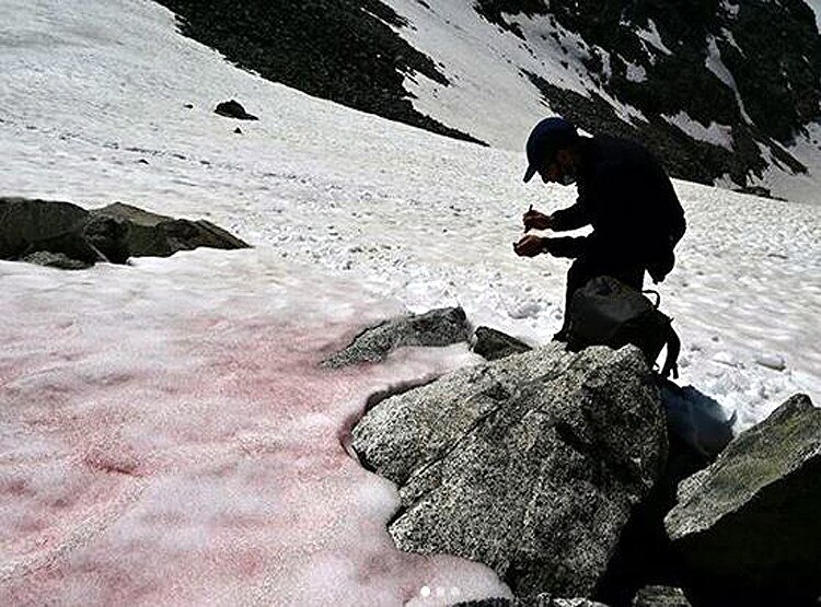लोनार झील के बाद इटली के पहाड़ों पर बर्फ हुई गुलाबी, वैज्ञानिक हैरान