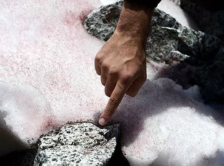 लोनार झील के बाद इटली के पहाड़ों पर बर्फ हुई गुलाबी, वैज्ञानिक हैरान