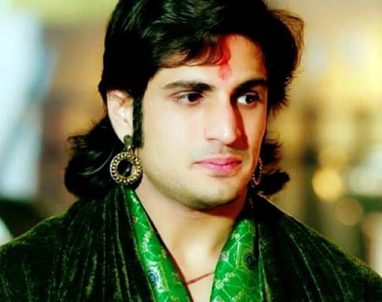 पृथ्वीराज चौहान से अकबर तक, हर रोल में बेमिसाल रहा नागिन फेम ये एक्टर