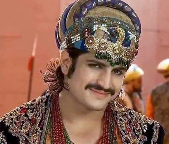 पृथ्वीराज चौहान से अकबर तक, हर रोल में बेमिसाल रहा नागिन फेम ये एक्टर