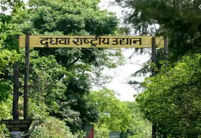 दुधवा टाइगर रिजर्व में 118 साल के बाद दिखा ये दुर्लभ फूल, खुशी की लहर