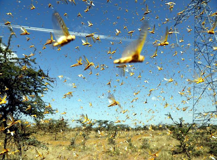 अंतरराष्ट्रीय एजेंसी की चेतावनी- 2 हफ्ते में भारत पर फिर आ सकता है संकट