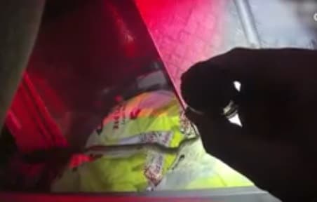 कार चला रहा था युवक और ब्रेक के पास बैठे सांप ने डस लिया....फिर