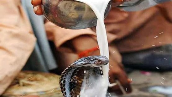 सावन के महीने में भूलकर भी ना करें ये 8 गलतियां