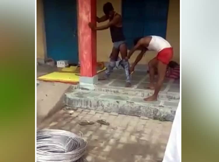 जींस में घुसकर बैठा रहा जहरीला सांप, खंभा पकड़कर 7 घंटे खड़ा रहा युवक