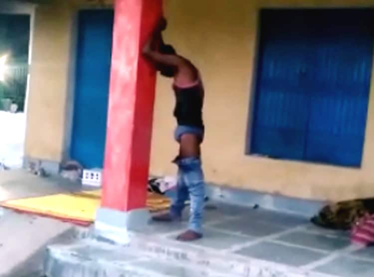 जींस में घुसकर बैठा रहा जहरीला सांप, खंभा पकड़कर 7 घंटे खड़ा रहा युवक