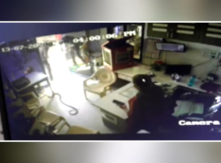 बोतल में नहीं मिला पेट्रोल, पंप मालकिन के केबिन में छोड़ा कोबरा सांप