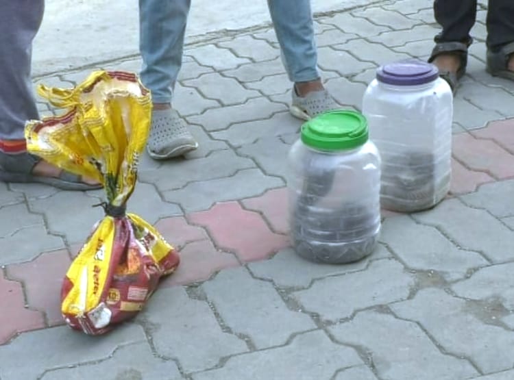 बोतल में नहीं मिला पेट्रोल, पंप मालकिन के केबिन में छोड़ा कोबरा सांप