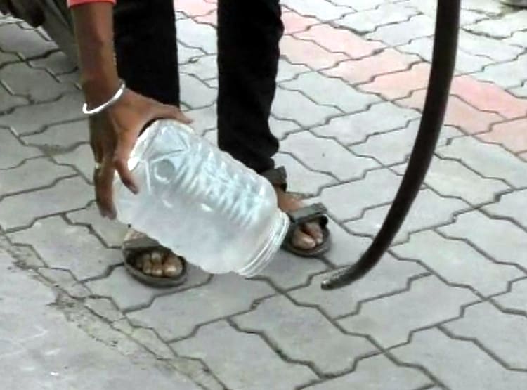 बोतल में नहीं मिला पेट्रोल, पंप मालकिन के केबिन में छोड़ा कोबरा सांप