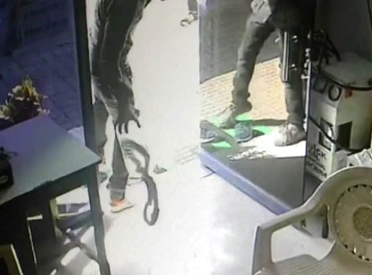 बोतल में नहीं मिला पेट्रोल, पंप मालकिन के केबिन में छोड़ा कोबरा सांप