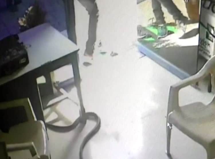 बोतल में नहीं मिला पेट्रोल, पंप मालकिन के केबिन में छोड़ा कोबरा सांप