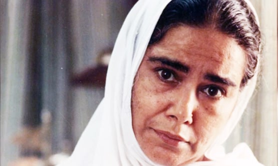 घर-घर में महशूर दादी सा ने 3 बार जीता है नेशनल अवॉर्ड, ऐसा रहा सफर