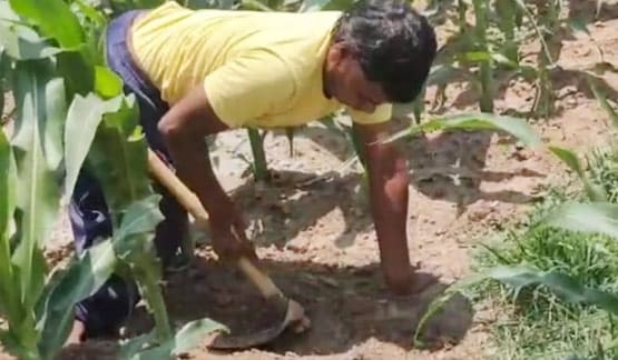 भुखमरी के हालात में हैं ये क्रिकेटर, इस टीम के हैं कप्तान